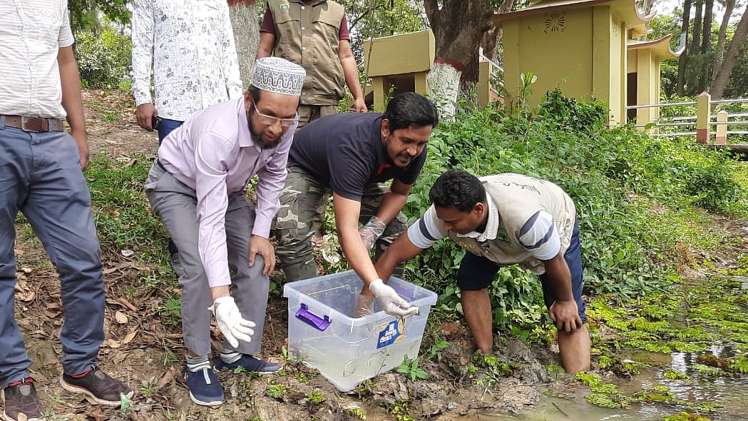 ছবি:প্রথম আলাে