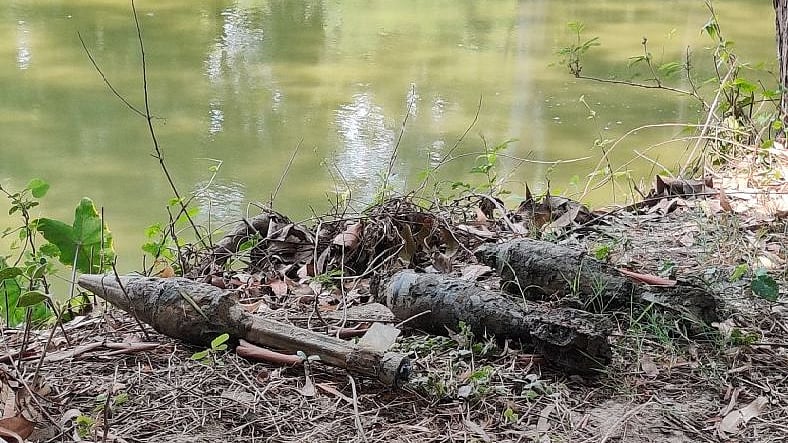 ছবি: প্রথম আলো