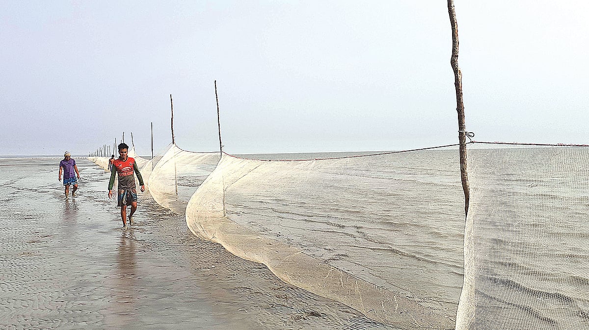  ছবি: প্রথম আলো 