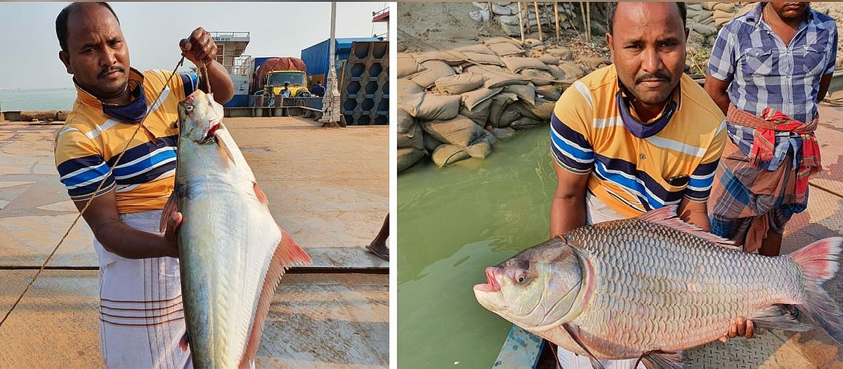  ছবি: প্রথম আলো