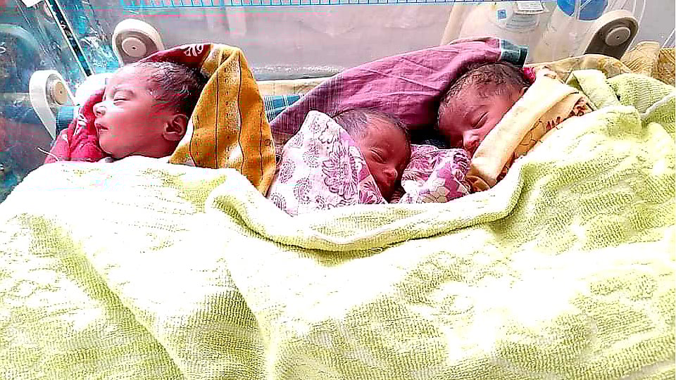 ছবি সংগৃহীত