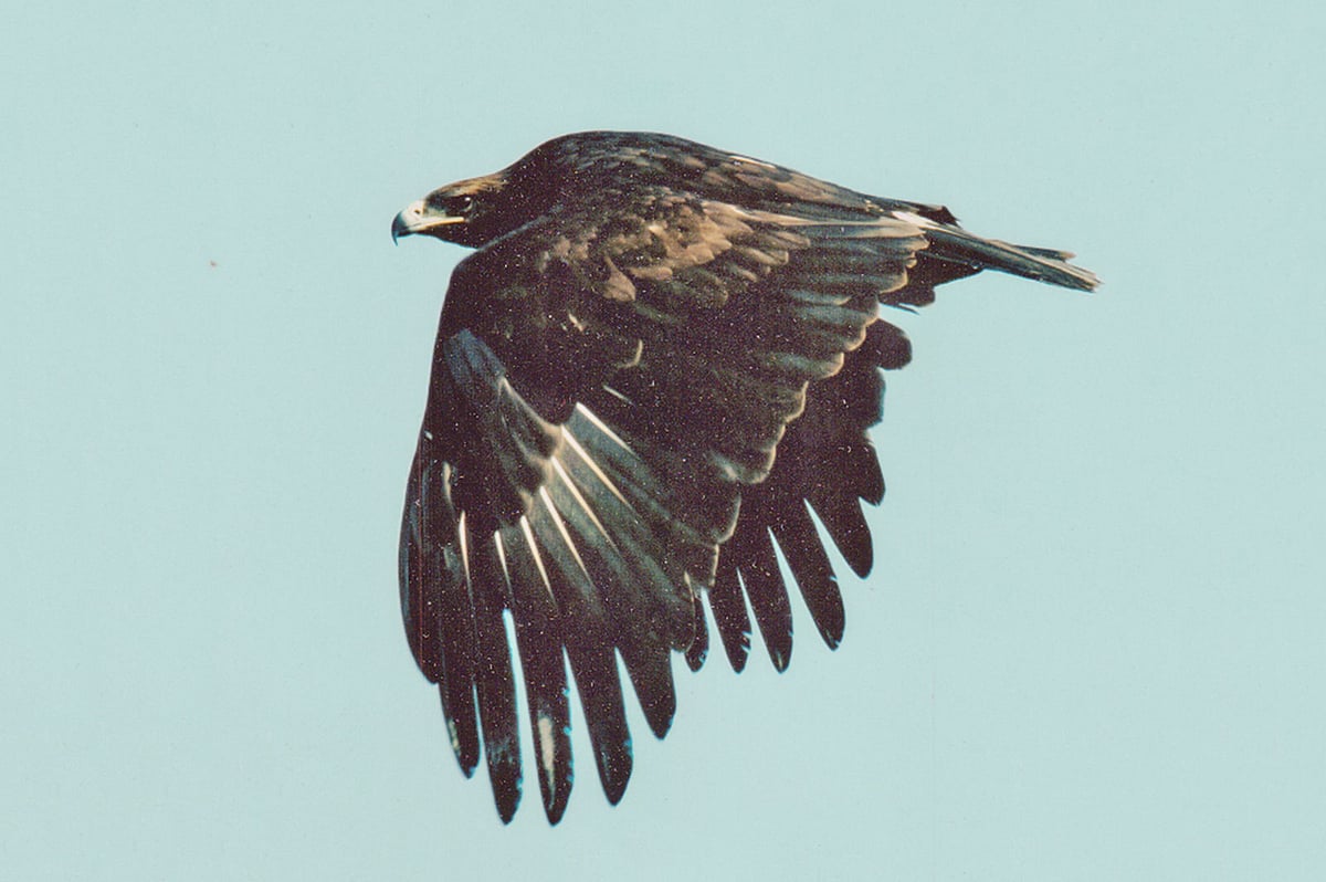 ছবি: আদনান আজাদ