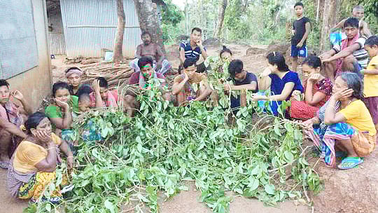 প্রথম আলো