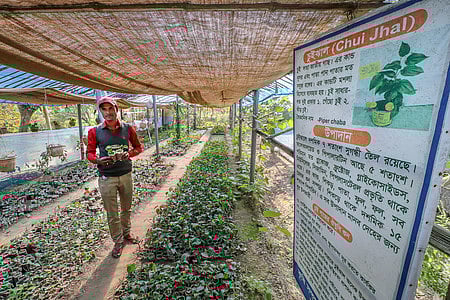 ছবি: সাদ্দাম হোসেন