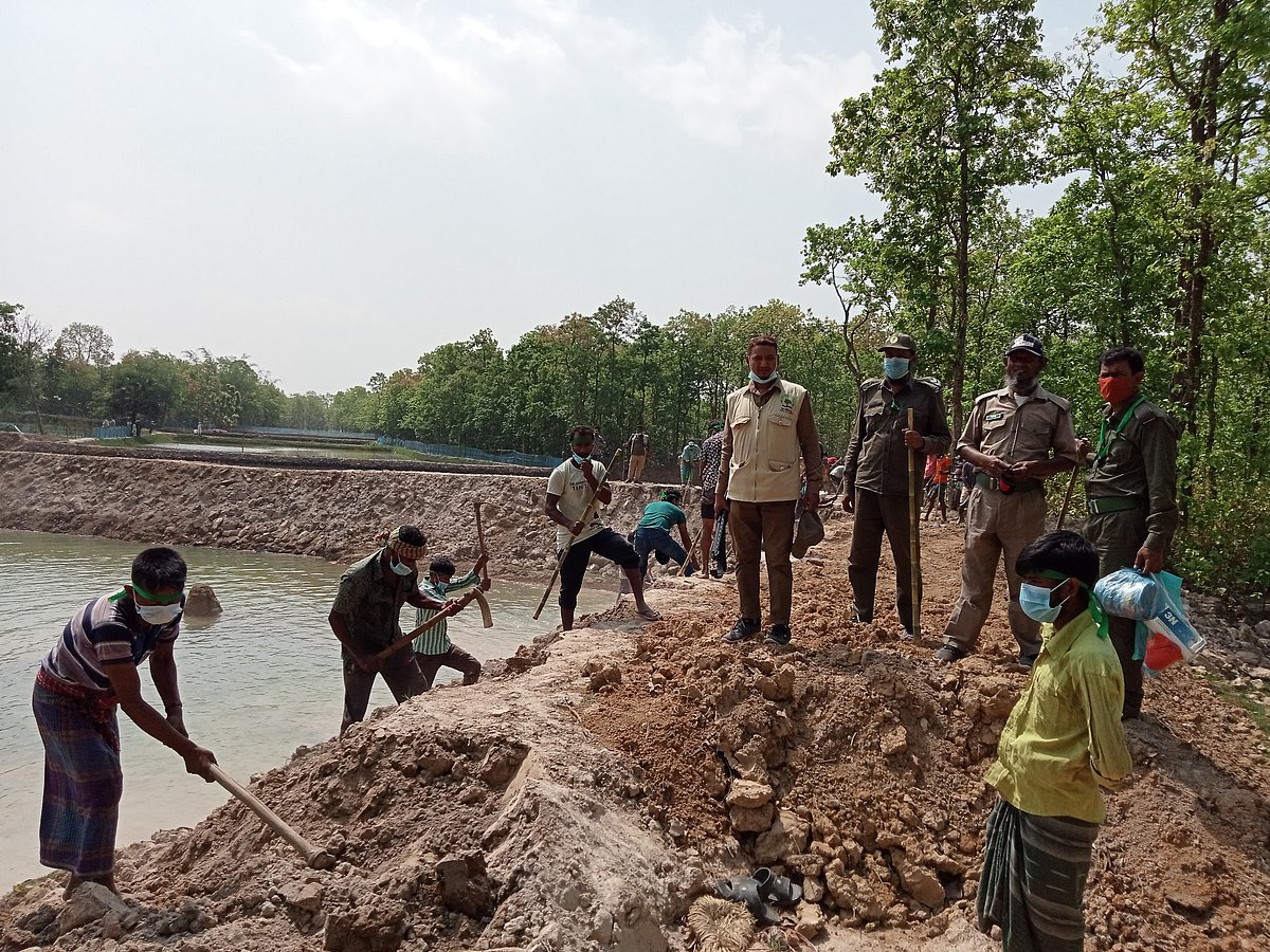 প্রথম আলো