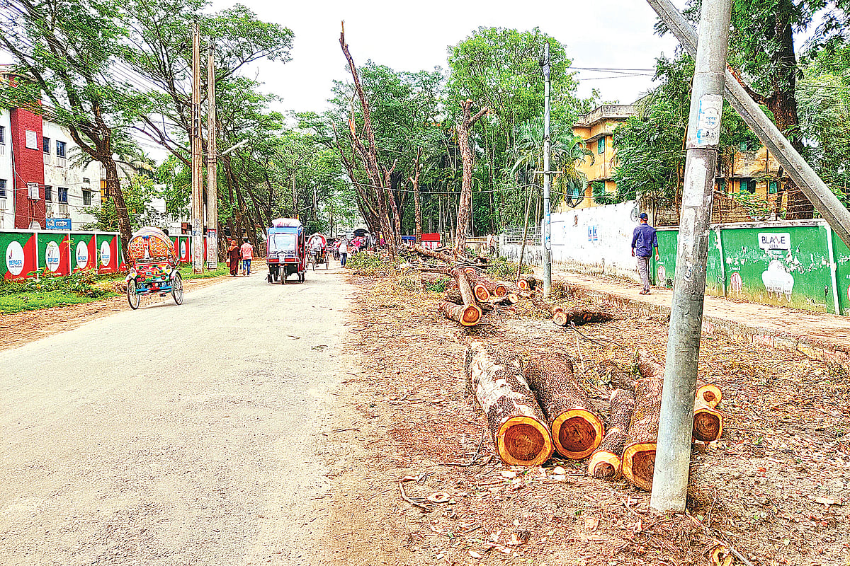 ছবি: প্রথম আলো 