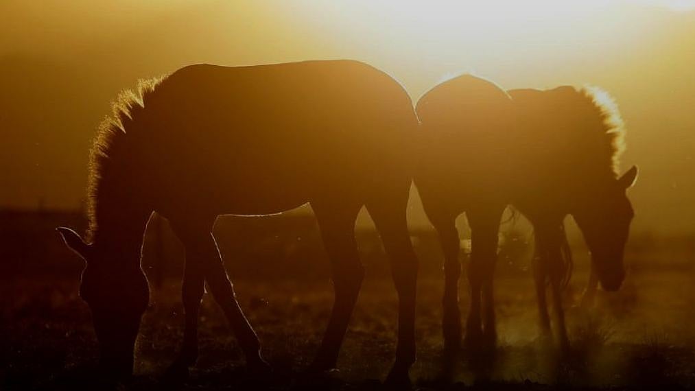 ছবি: রয়টার্স