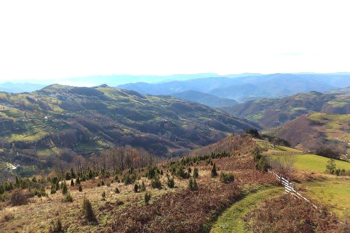 ছবি: লেখক