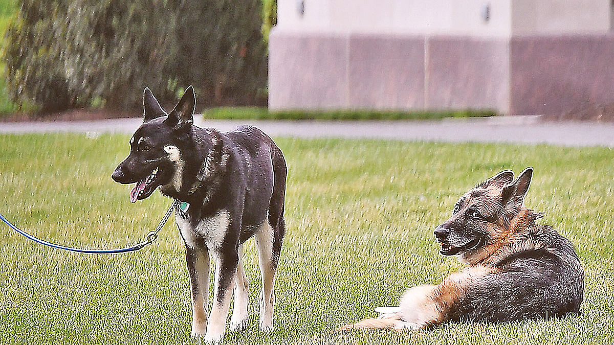 ফাইল ছবি: এএফপি