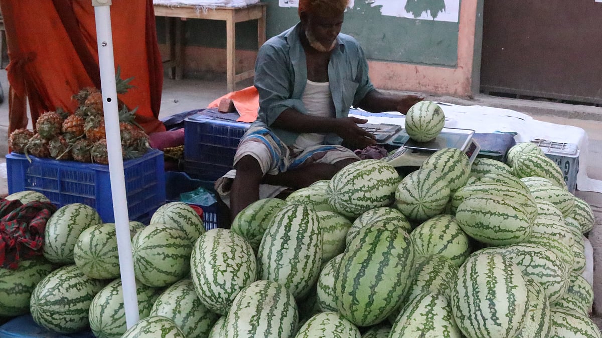 ছবি: প্রথম আলো