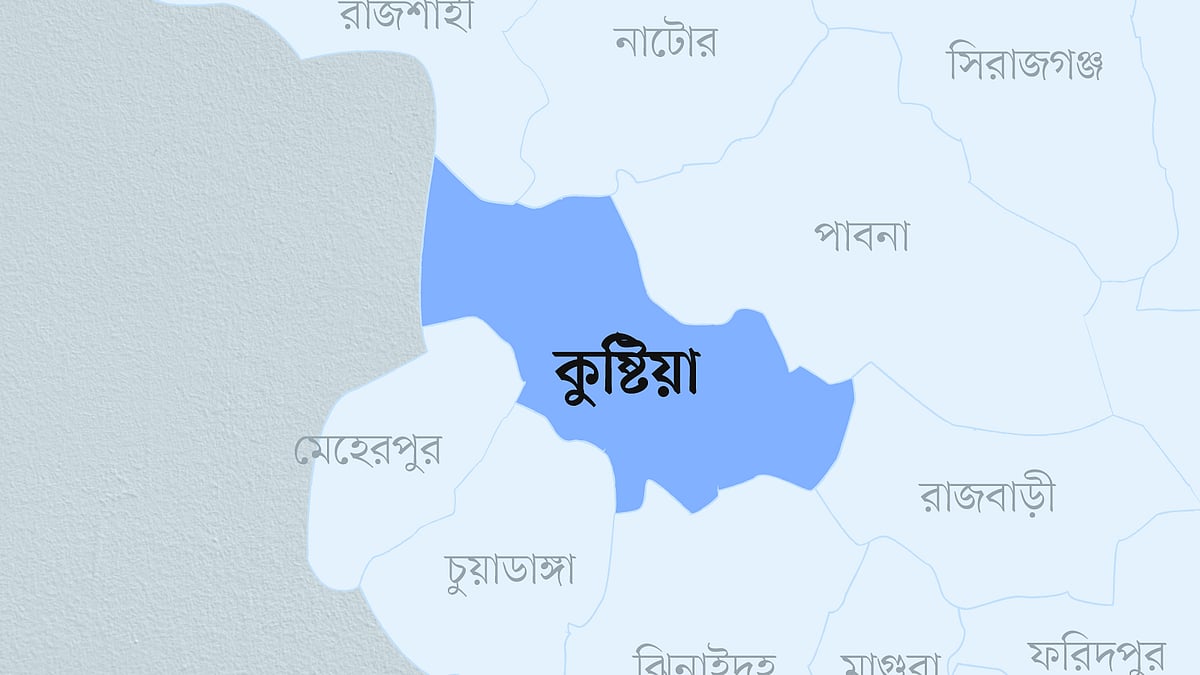 কুষ্টিয়া জেলার ম্যাপ