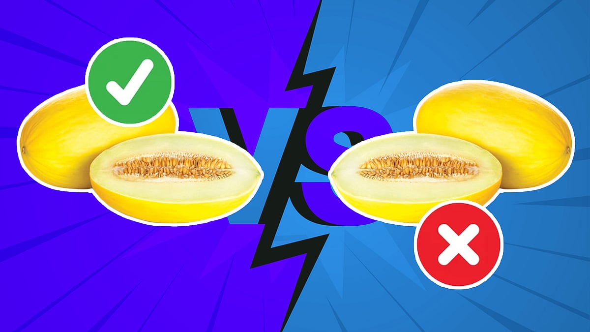 একটু থামুন