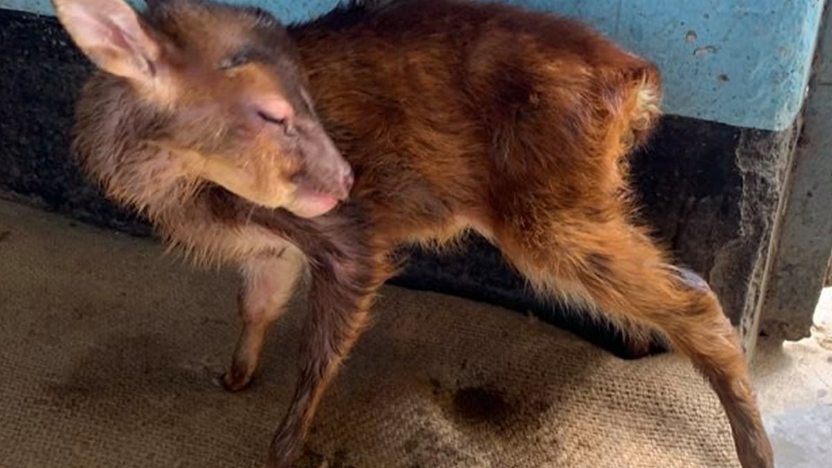 ছবি: প্রথম আলো