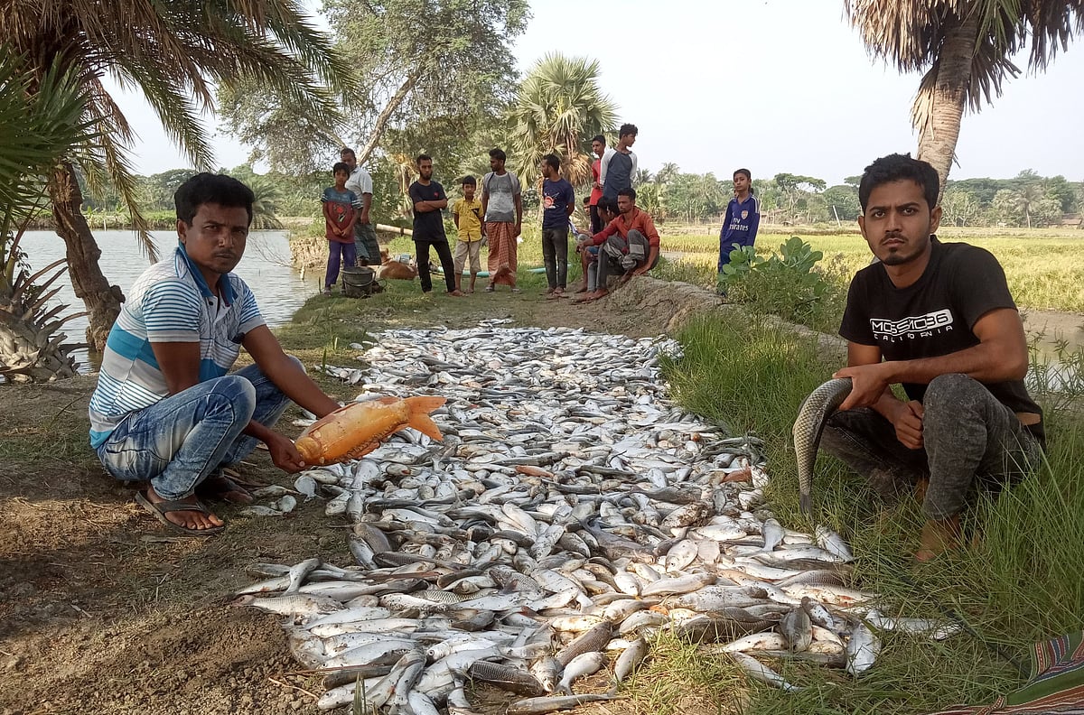 ছবি: প্রথম আলো