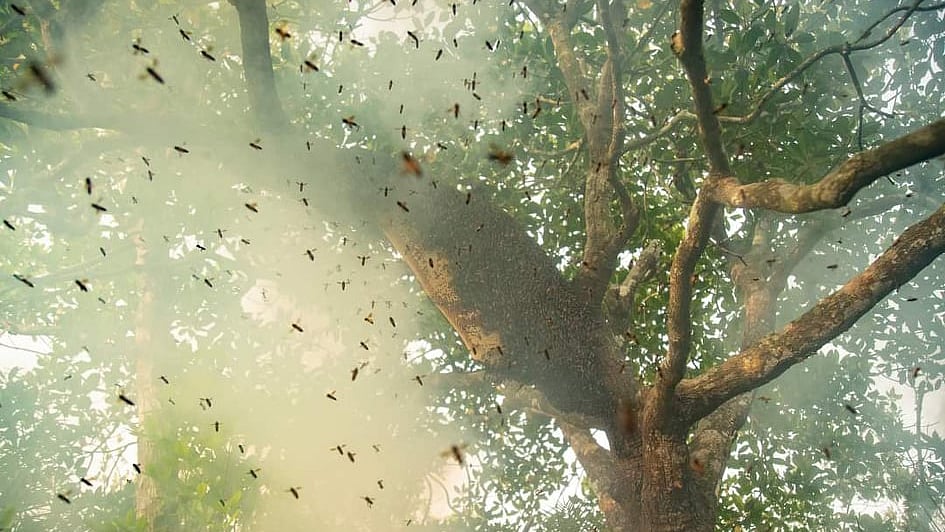 ছবি: লেখক