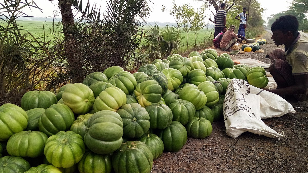 ছবি: প্রথম আলো