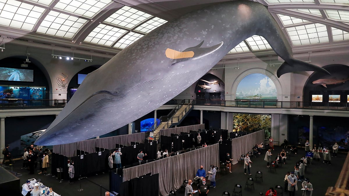 ছবি: রয়টার্স