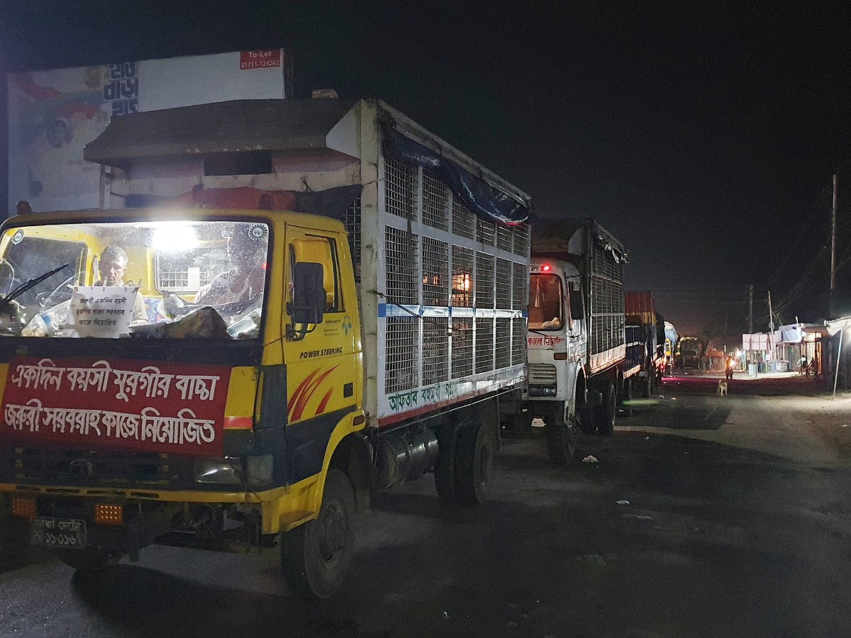 এম রাশেদুল হক