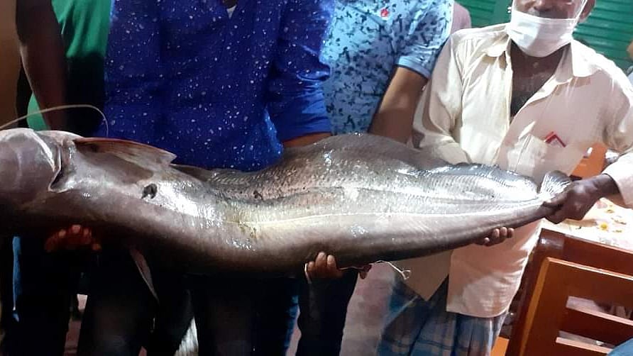 প্রথম আলো