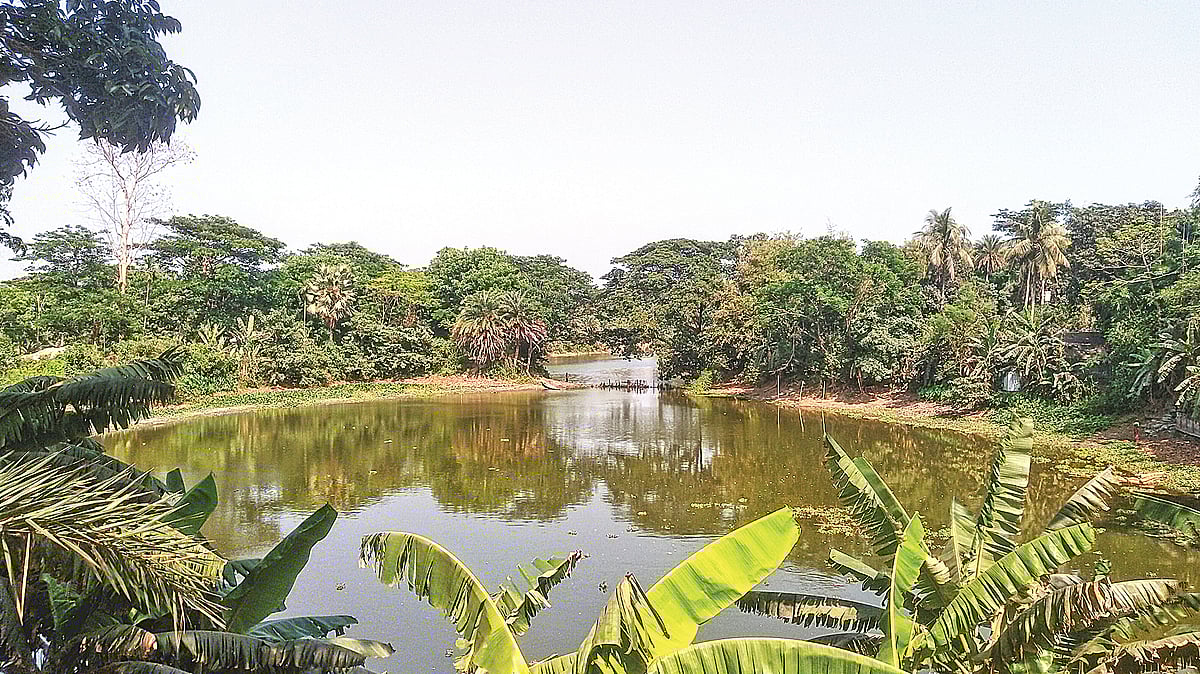 ছবি: প্রথম আলো