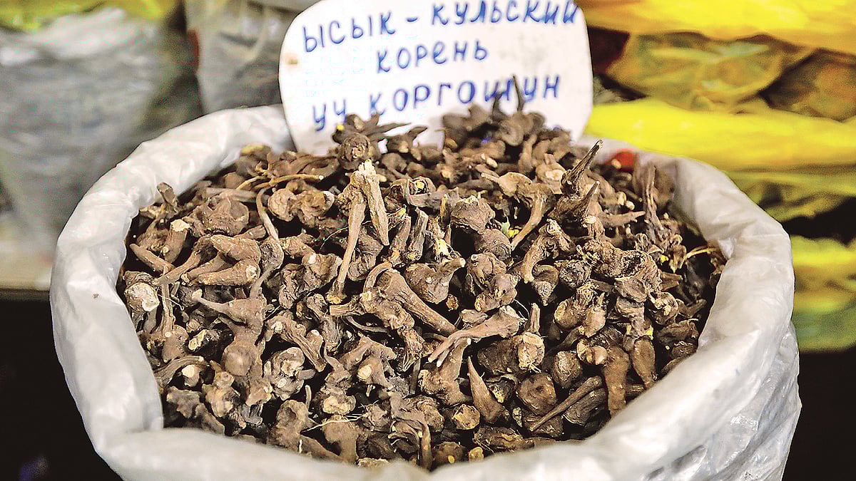 রয়টার্স