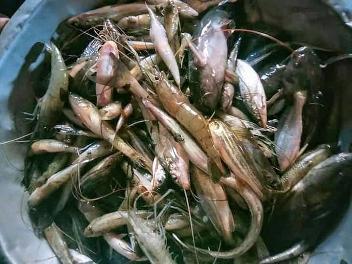 প্রথম আলো