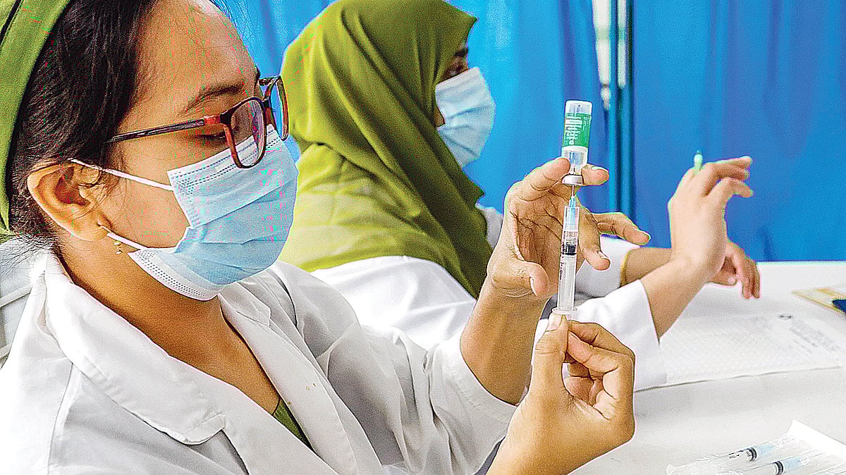 ফাইল ছবি