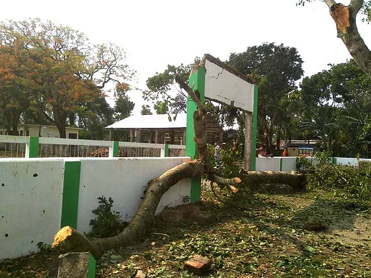 ছবি: প্রথম আলো