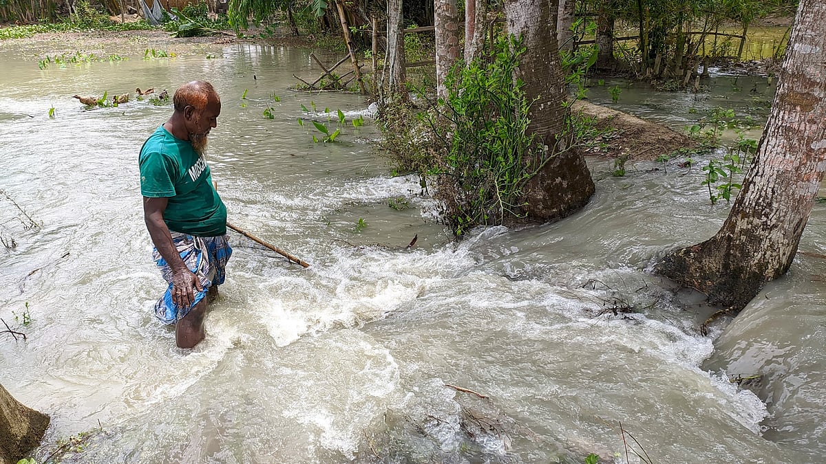 ছবি: সাইয়ান