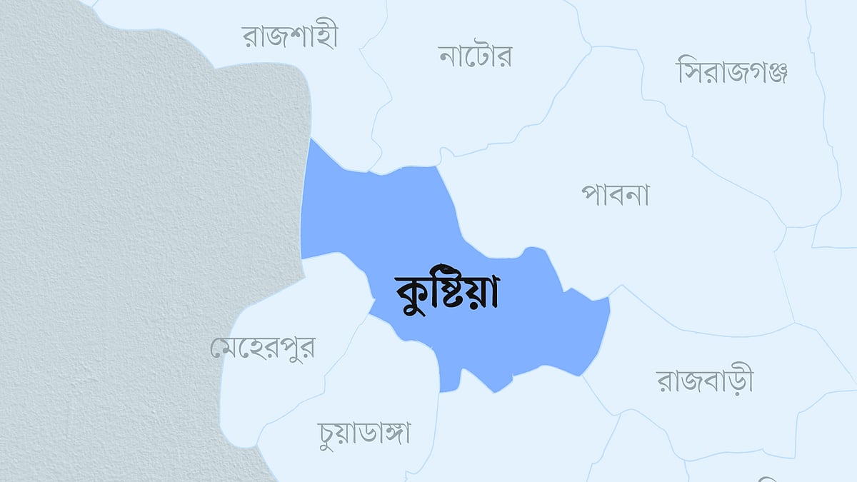 কুষ্টিয়া জেলার মানচিত্র