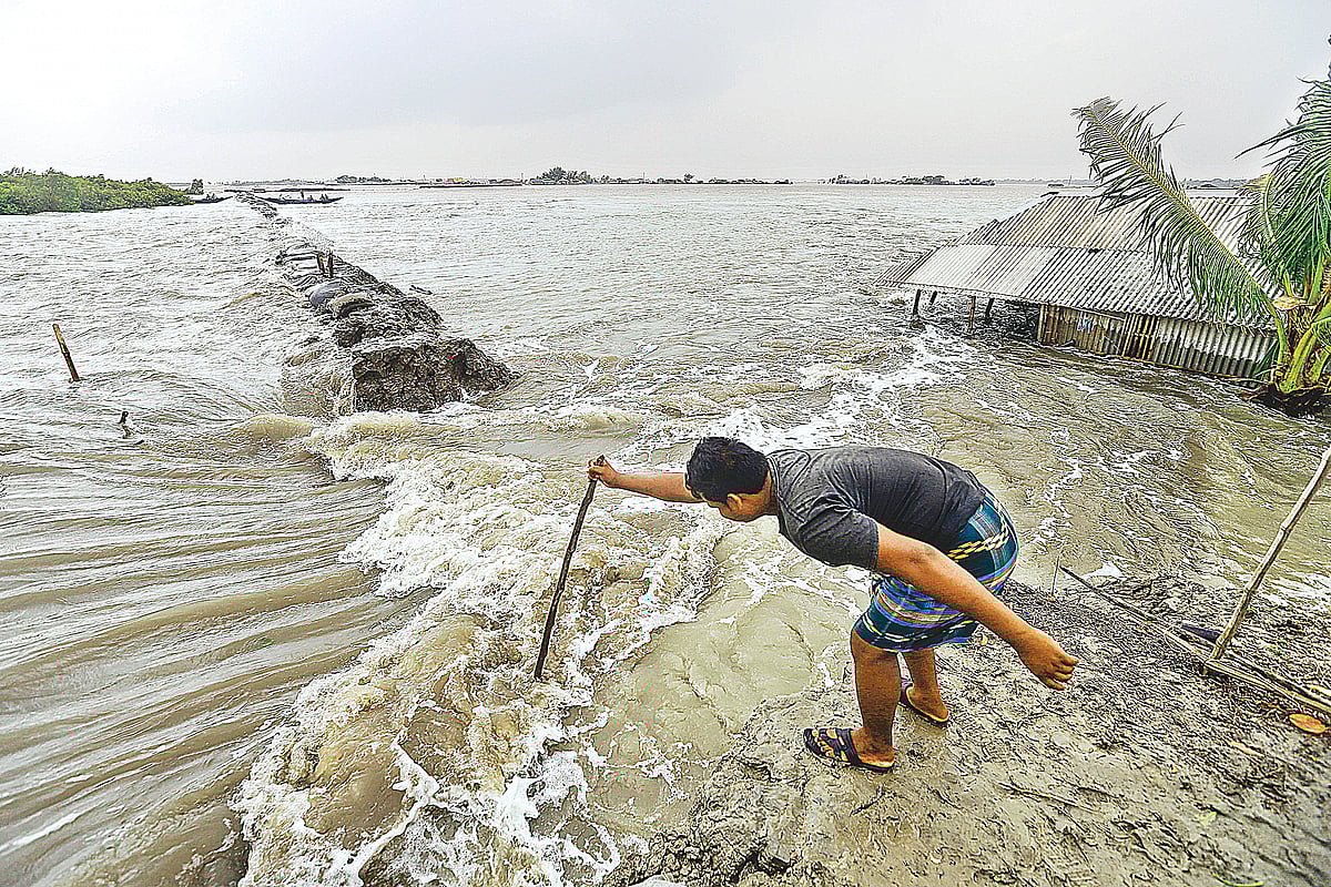 ছবি: শুভ্র কান্তি দাশ