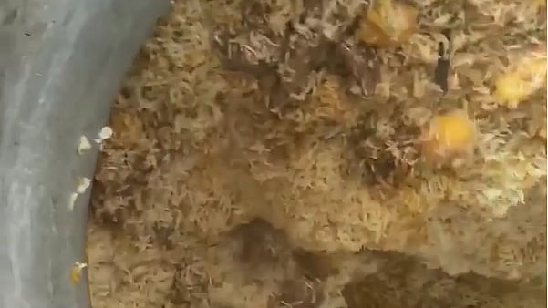 ছবি: ইনস্টাগ্রাম