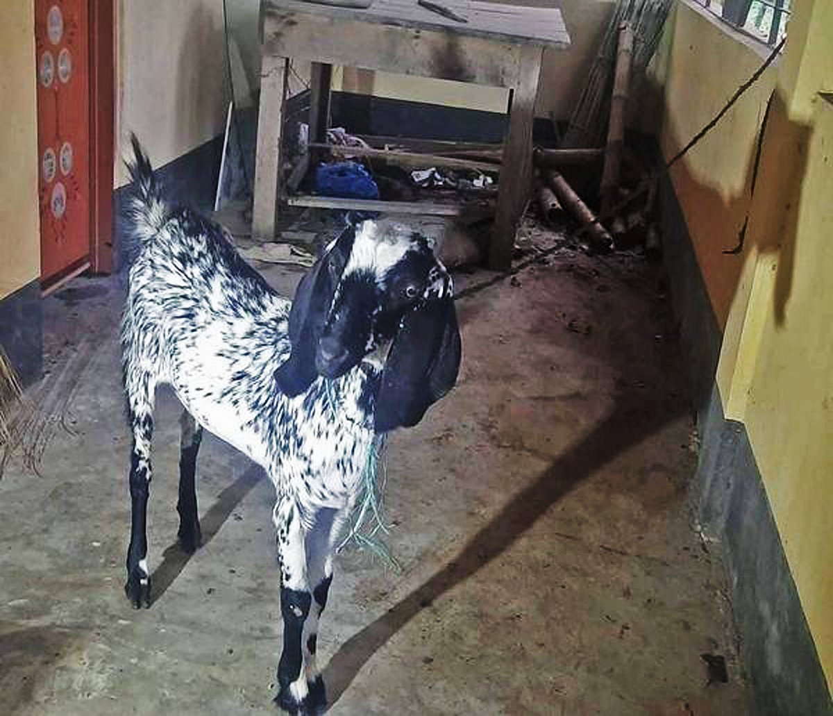 ছবি: ফেসবুক থেকে