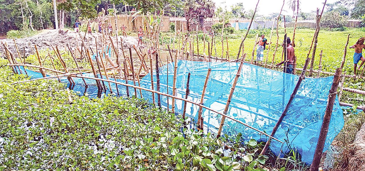 ছবি: প্রথম আলো  