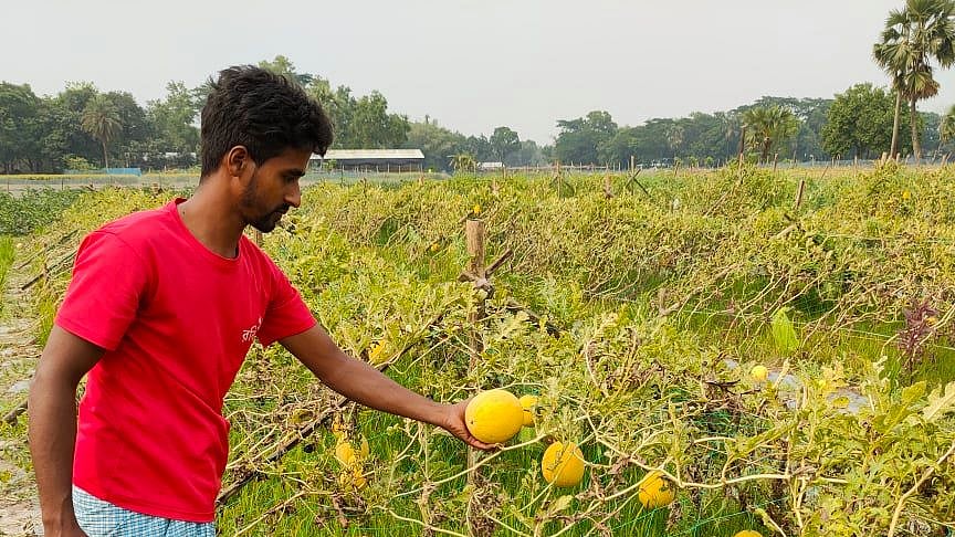 প্রথম আলো
