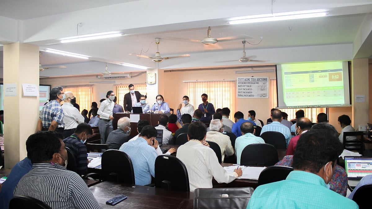 চায়ের নিলাম চলছে। ফাইল ছবি