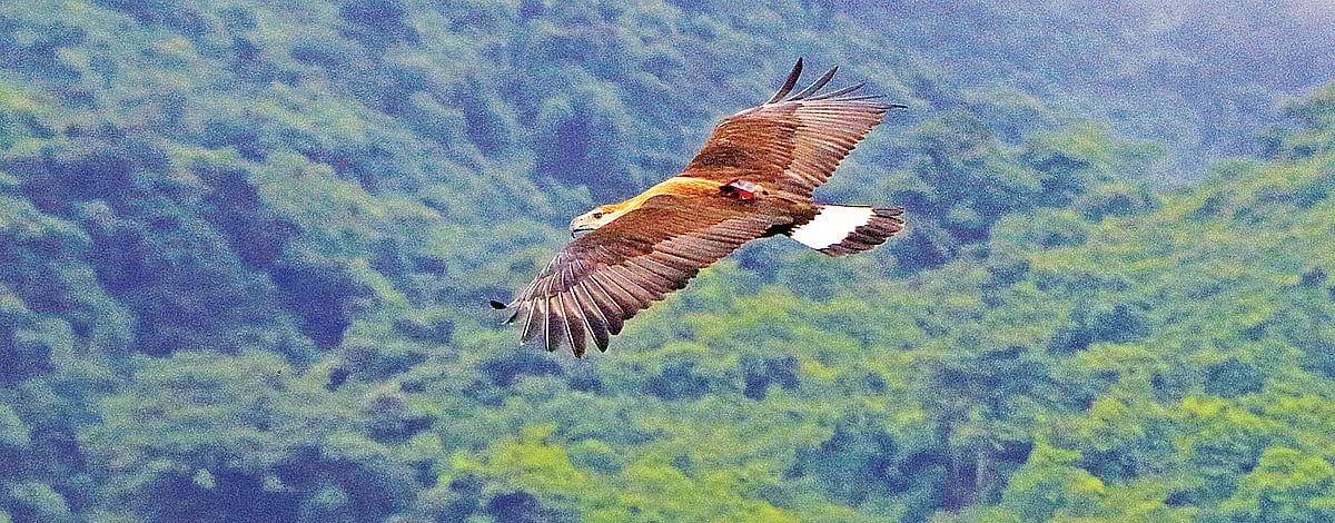 ছবি: সাকিব আহমেদ