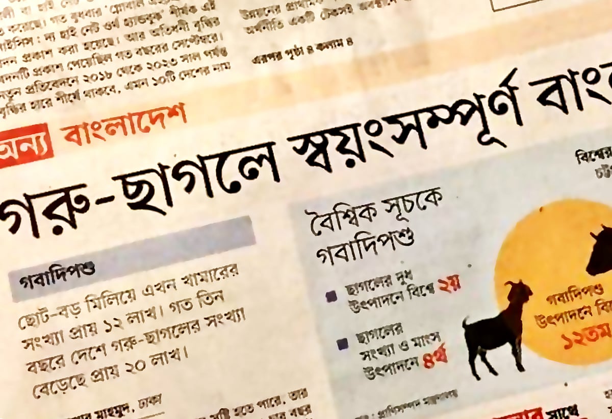 ছবি: একটু থামুন