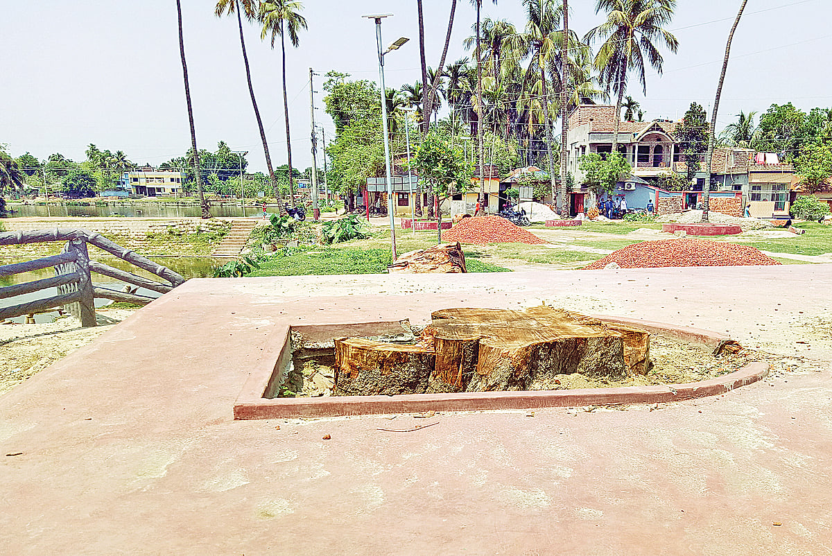 ছবি: প্রথম আলো