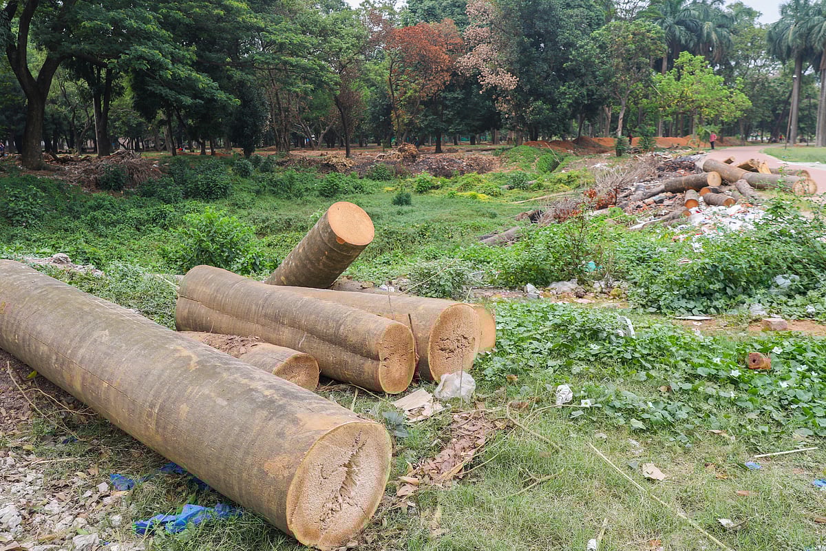 ছবি:  সাবিনা ইয়াসমিন