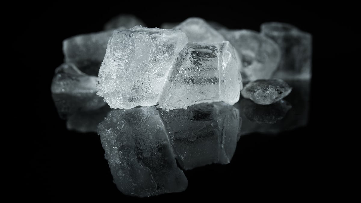 ছবি: পেকজেলসডটকম