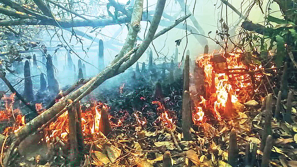 ফাইল ছবি