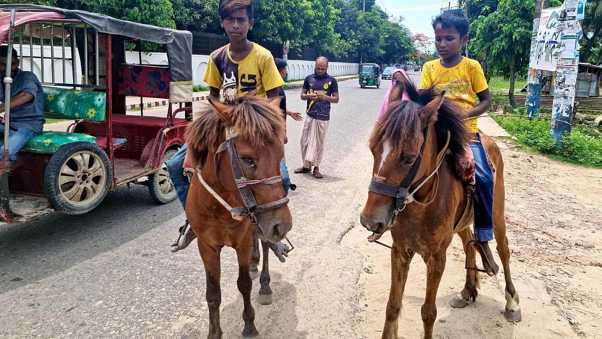 ছবি: প্রথম আলো