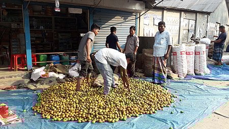   রাজিউর রহমান