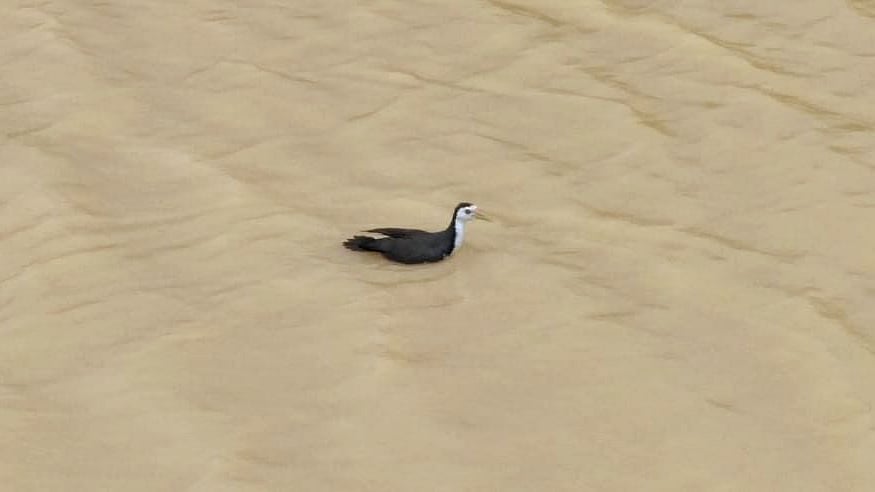  ছবি: প্রথম আলো