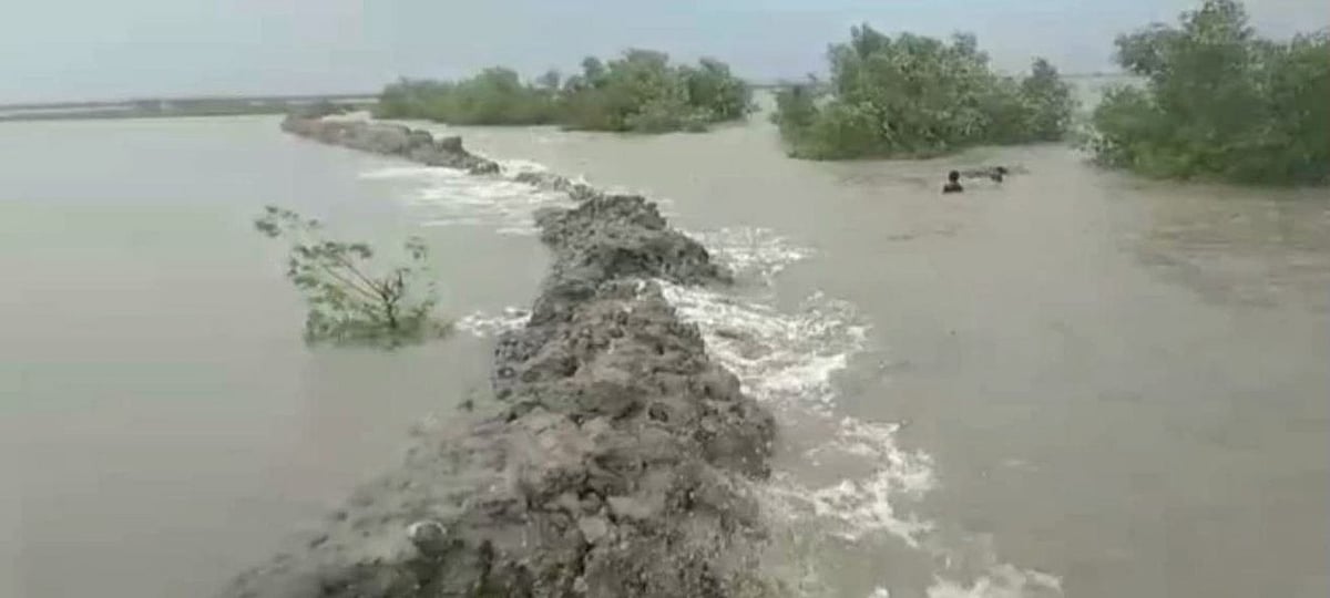  ছবি: প্রথম আলো