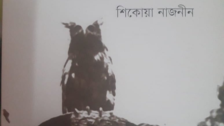 শিকোয়া নাজনীন ‘নভেরা: শিল্পের রহস্যমানবী’ (প্রথমা প্রকাশন, মার্চ ২০২১) বইয়ে জীবনকথার সমান্তরালে তাঁর শিল্পকর্মের তত্ত্বীয় বিশ্লেষণের মধ্য দিয়ে নভেরাকে ঘিরে ঘনীভূত রহস্য উন্মোচনে প্রয়াসী হয়েছেন।