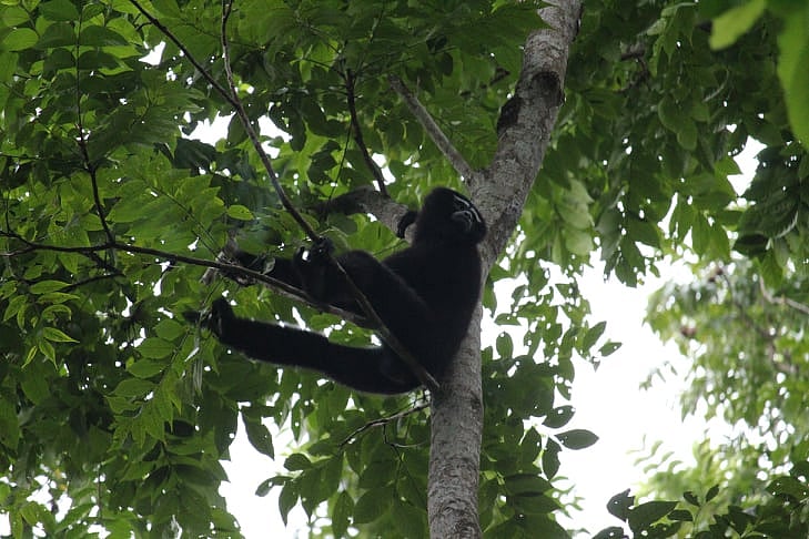 ছবি: প্রথম আলো