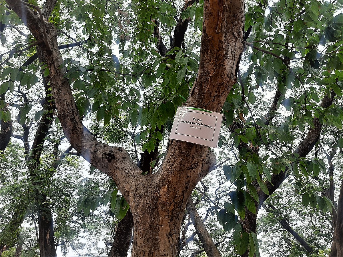 ছবি: মানসুরা হোসাইন