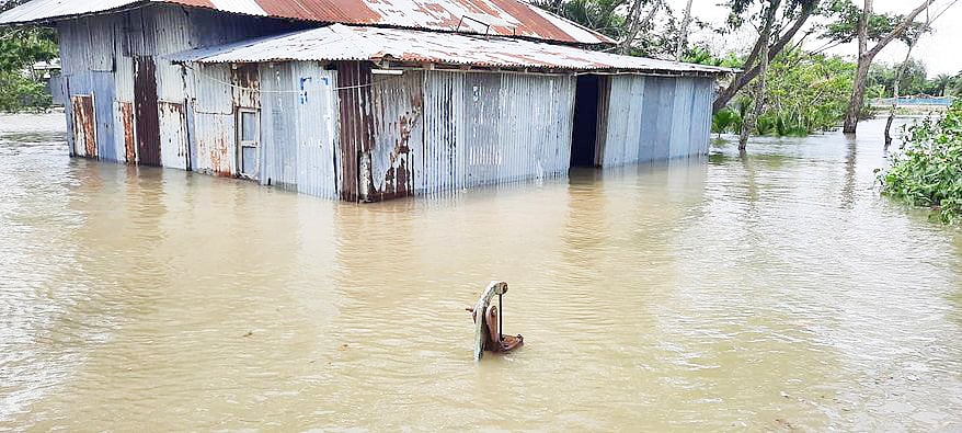 ফাইল ছবি: প্রথম আলো
